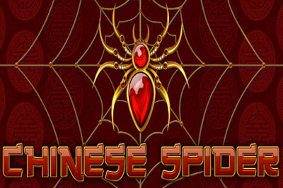 Chinese Spider